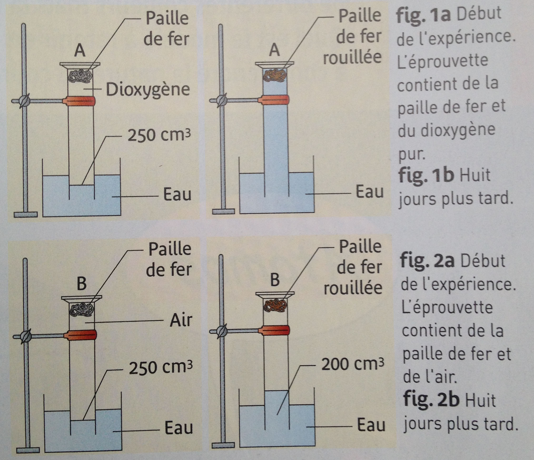 ch1_ex2.jpg