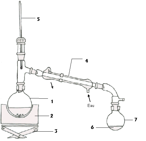 montage_distillation.gif